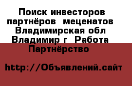 Поиск инвесторов, партнёров, меценатов - Владимирская обл., Владимир г. Работа » Партнёрство   